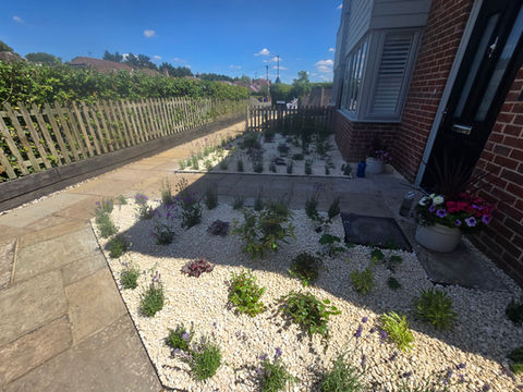 Planting, landscaping, landscapers, turf, lawn