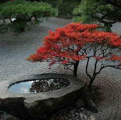Trends to Give Your Landscape a Facelift