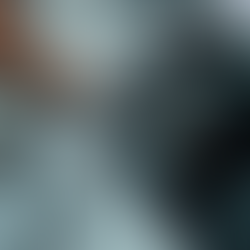 Why Choose GilPro Tint for Your Tinting Needs