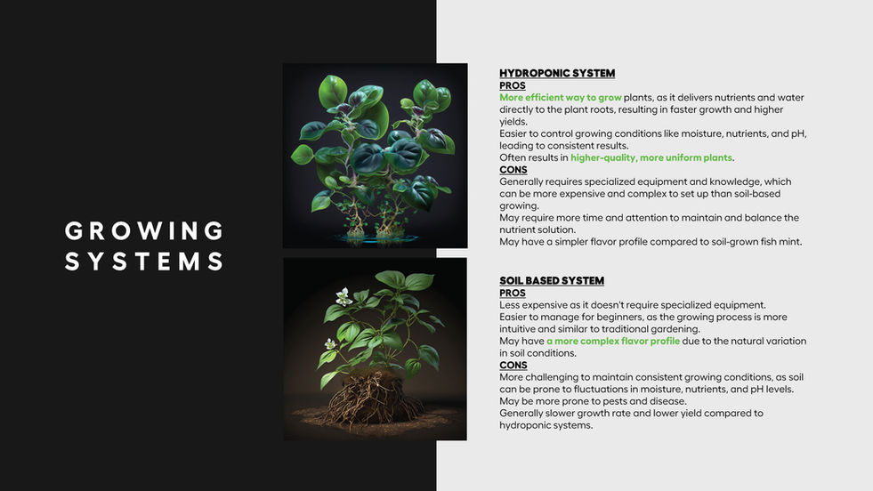 Final Doc without page number_Page_013.jpg