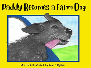 Paddy's new book cover.jpg
