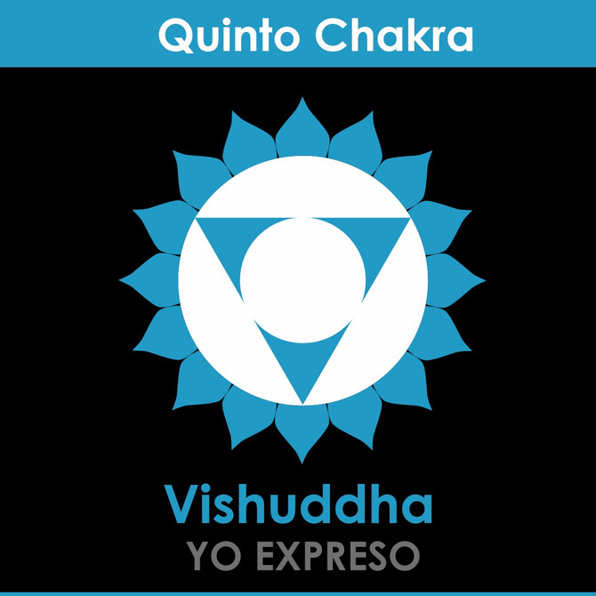 El quinto Chakra: Vishudda Chakra (Chakra de la Garganta)