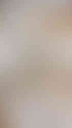 estrellas con cola y arroz