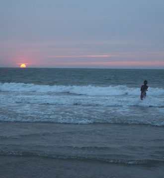 IMG_6176.JPG