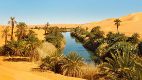 Il cammino di Sant'Antonio