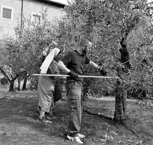 Foto%20(11)_edited.jpg