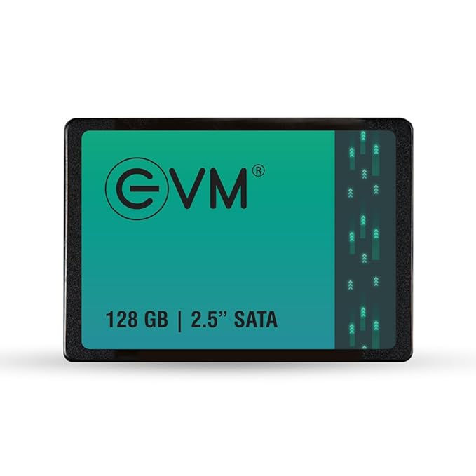 EVM 128GB 2.5 Inch SATA Internal SSD