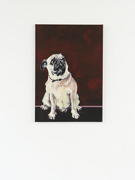 mops-3_edited.jpg
