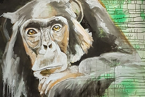 monkey on my mind