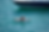 Screenshot 2026-02-17 102036.png