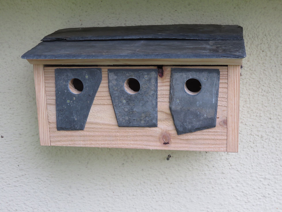 Thumbnail: Sparrow Terrace / Sparrow Hotel