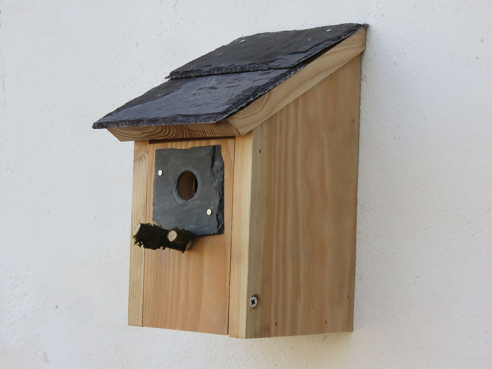 Thumbnail: Lean to Nest Box - Blue Tits  25mm hole