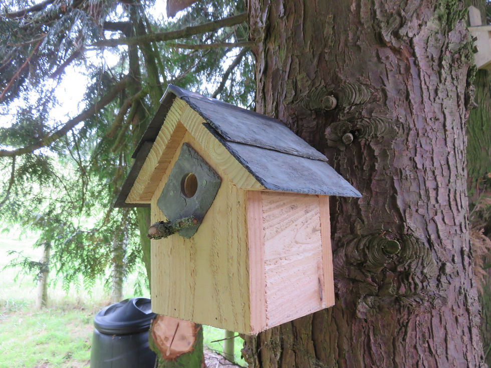 Thumbnail: Apex Bird Box - 25mm Hole - Blue Tits