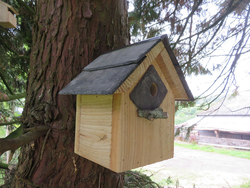 Thumbnail: Apex Bird Box - 32 mm Hole