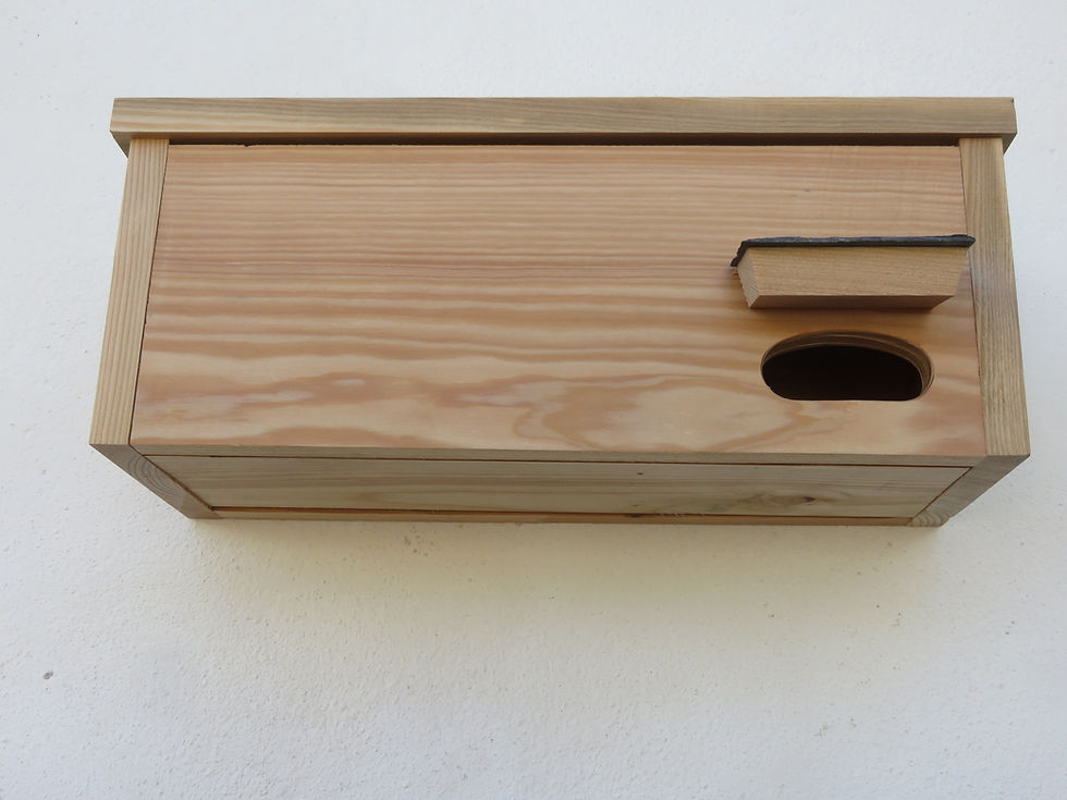 Thumbnail: Pair of Swift Boxes