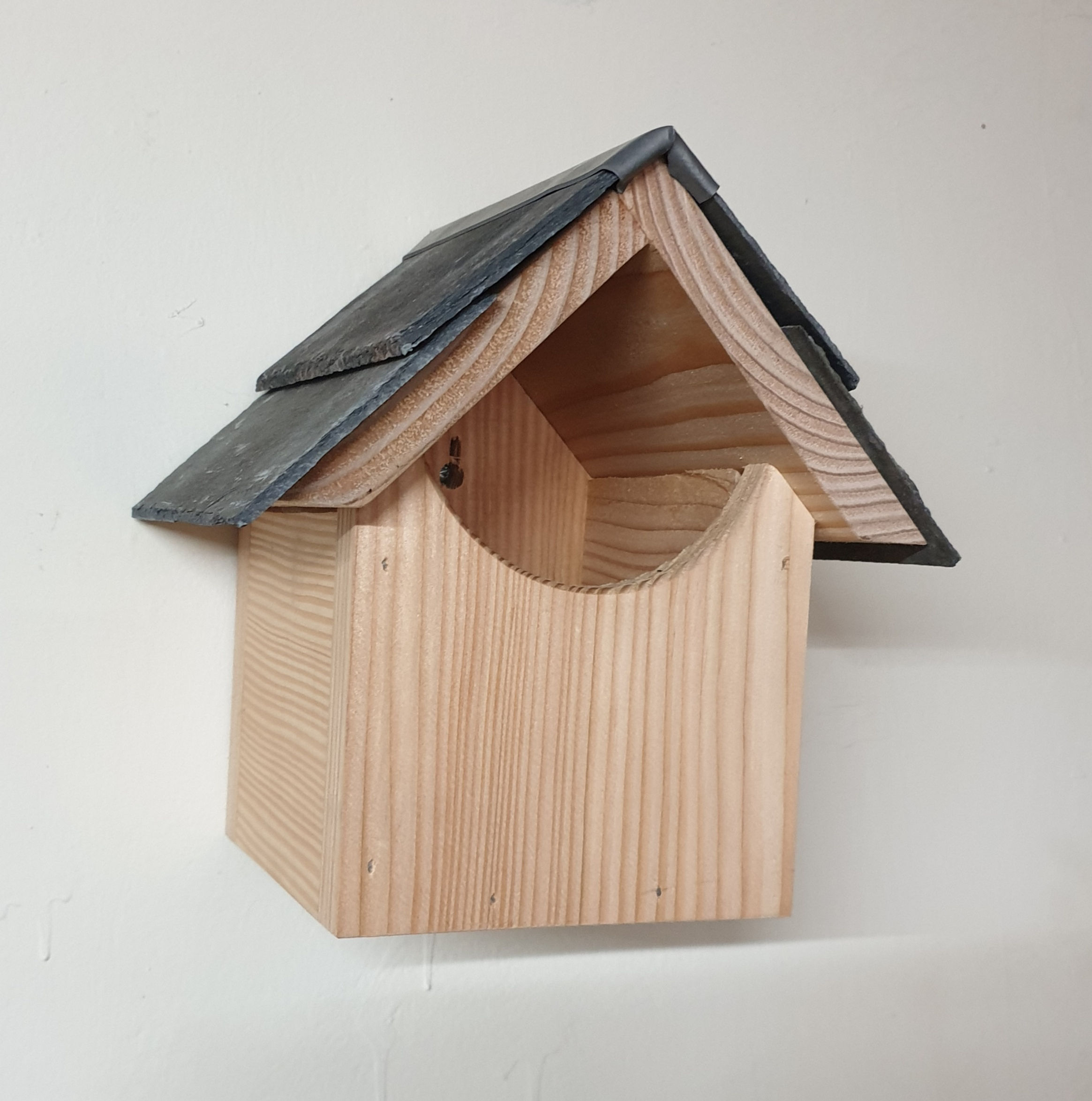 Apex Bird Box - Open Front Robins / Wrens