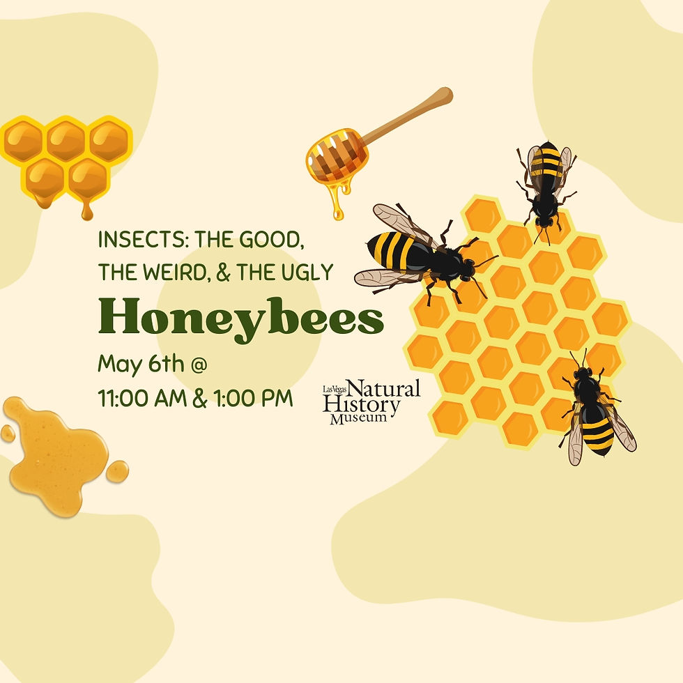 Insects- The Good, the Weird, and the Ugly: Honeybees