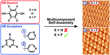 Phenol Self assembly.gif