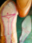 Bottoming, with fiddle back waist and cork