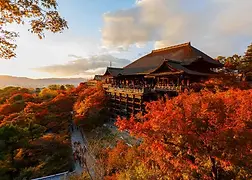 a2000502_main.webp
