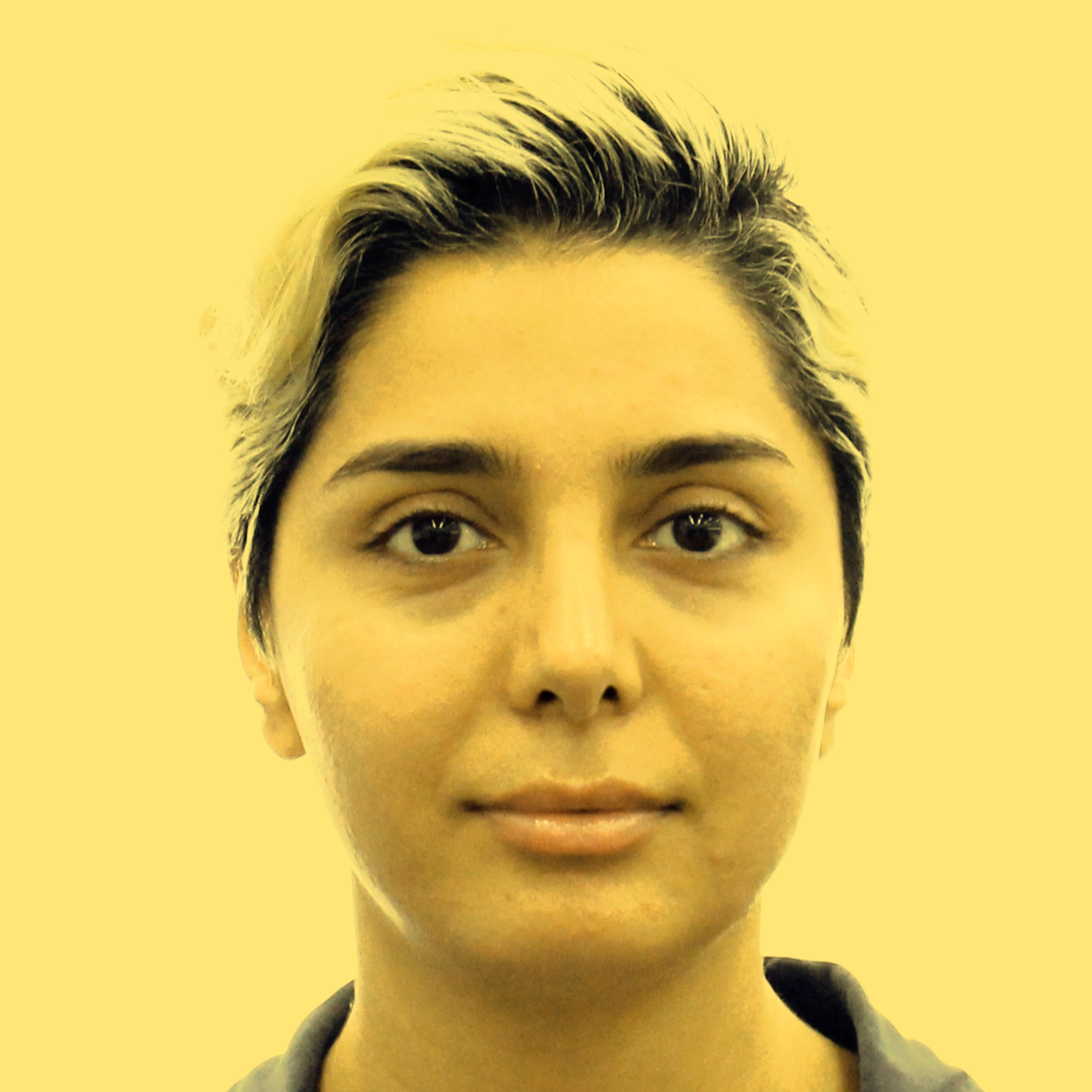 Writer: Najme Parsi Pour