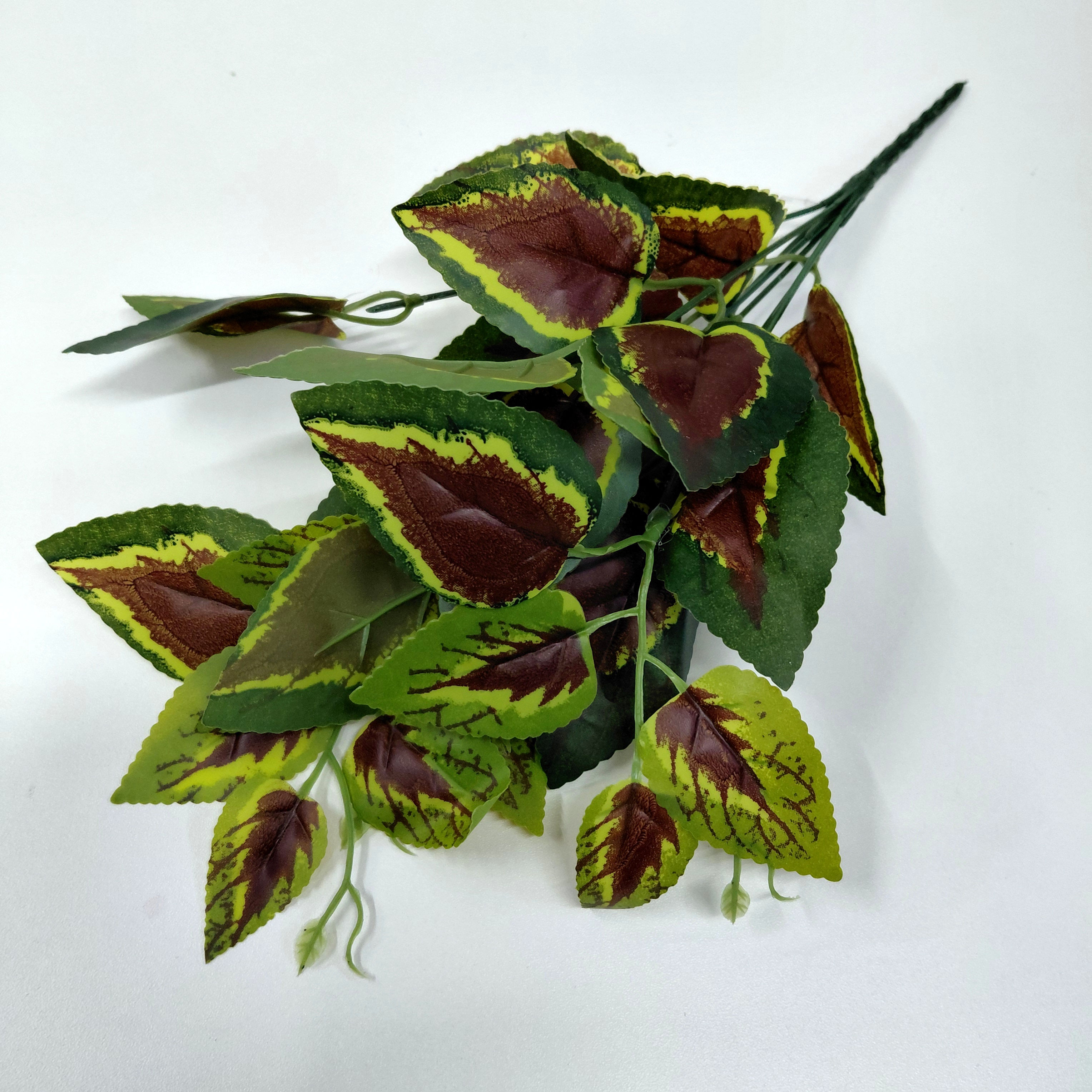 Ramo Coleus Contraste