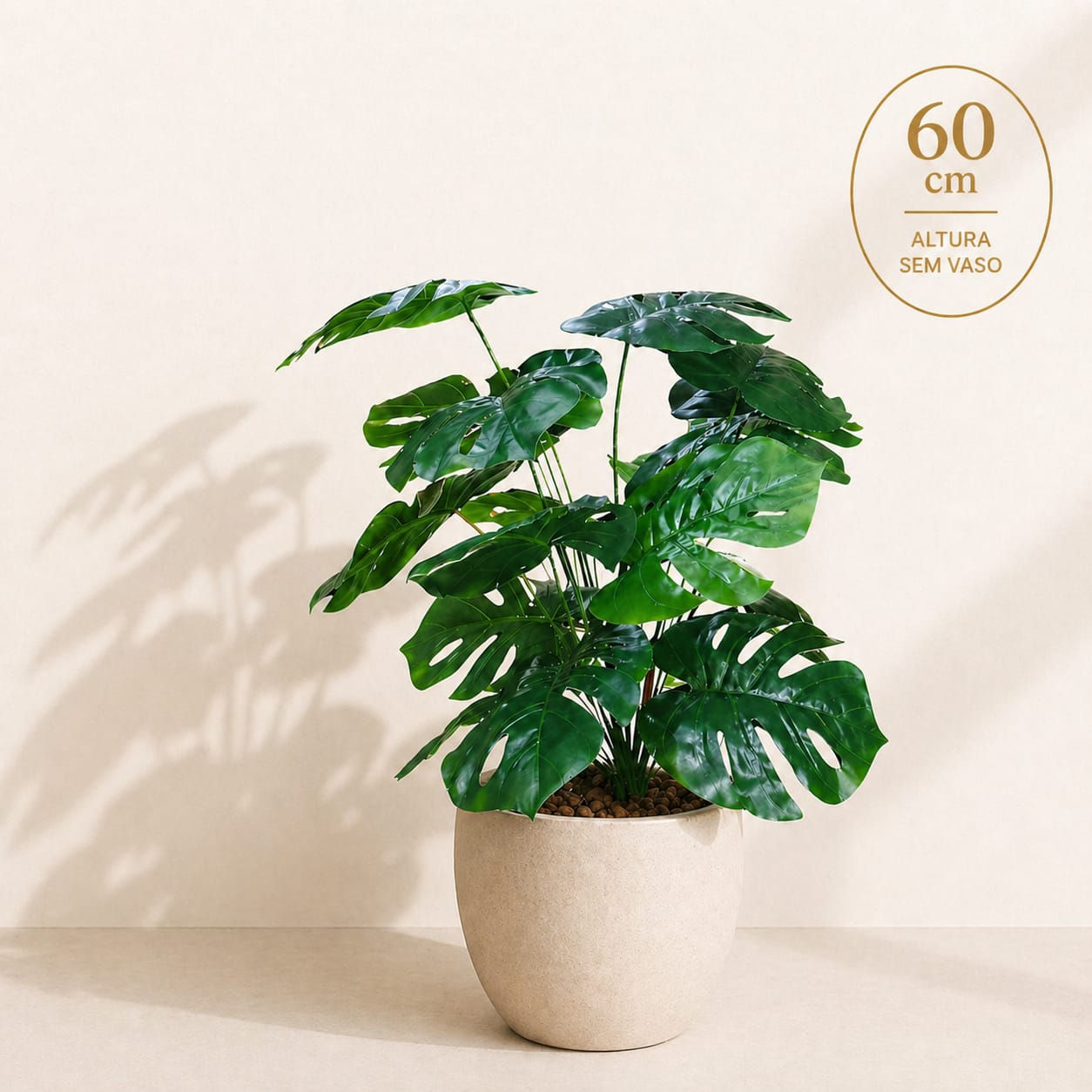 Costela-de-Adão Tropical