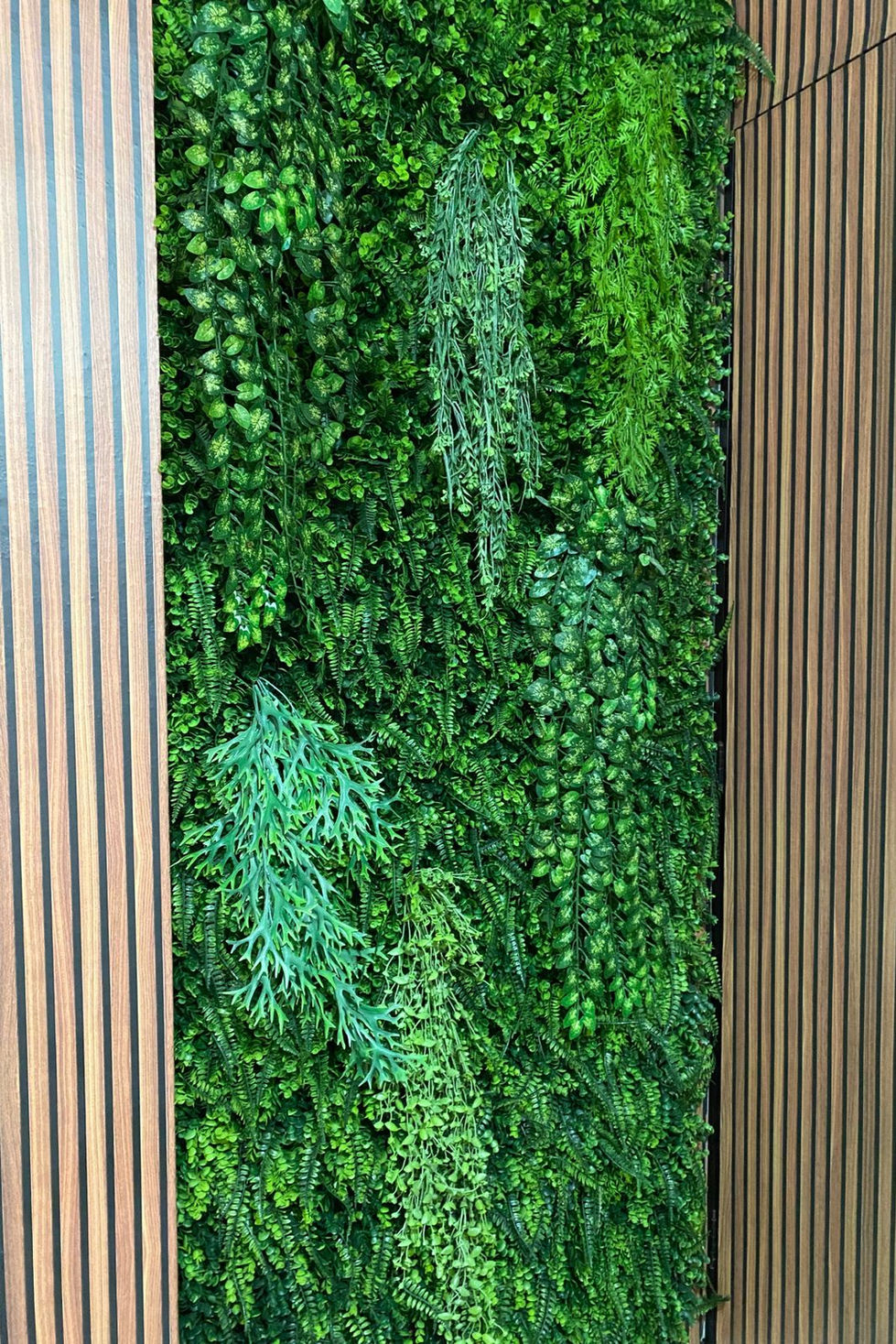 1000001359_18bad80e367e02585fcffdc03c225dff-23_07_2024, 15_49_51