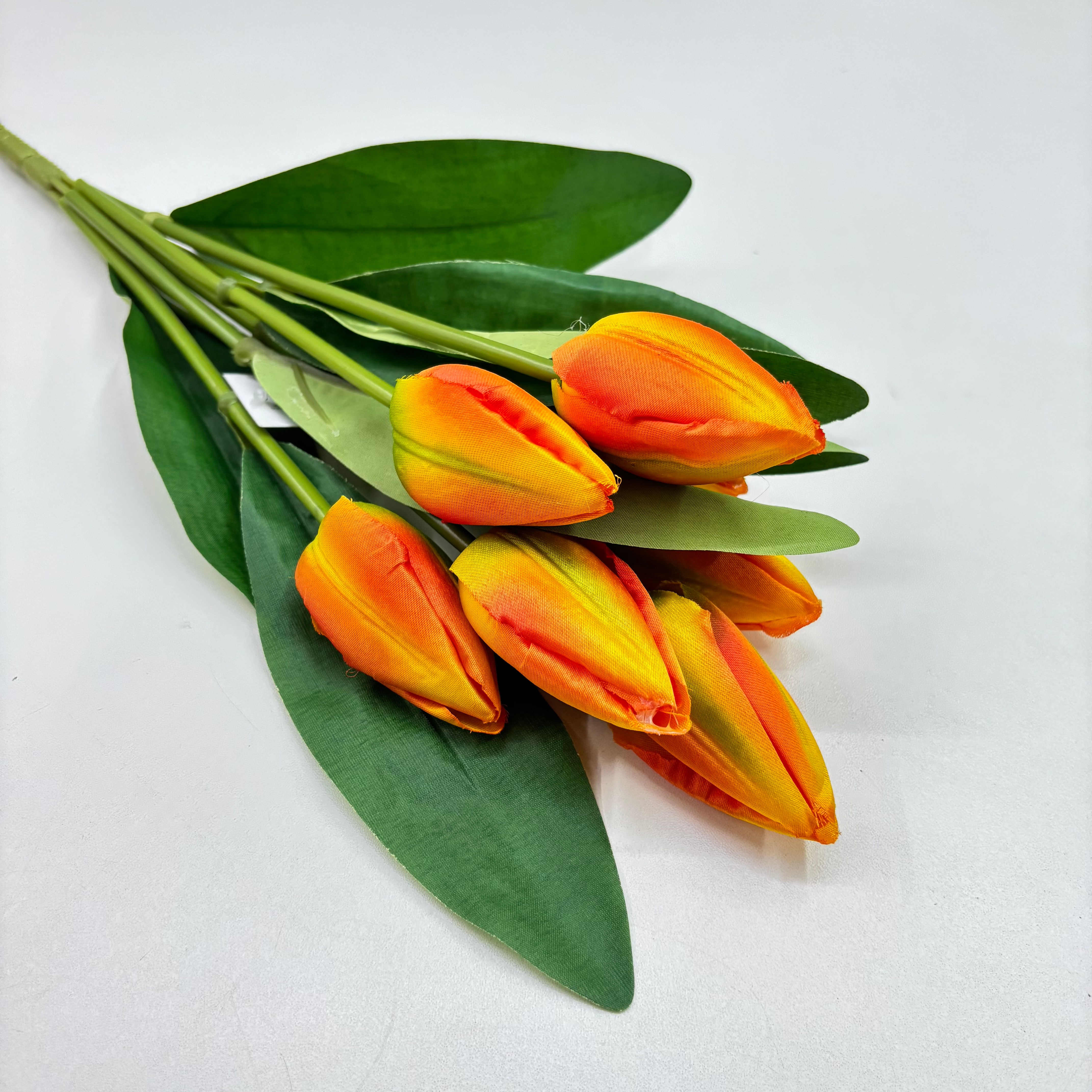 Tulipas Brisa de Primavera - Dourado Laranja