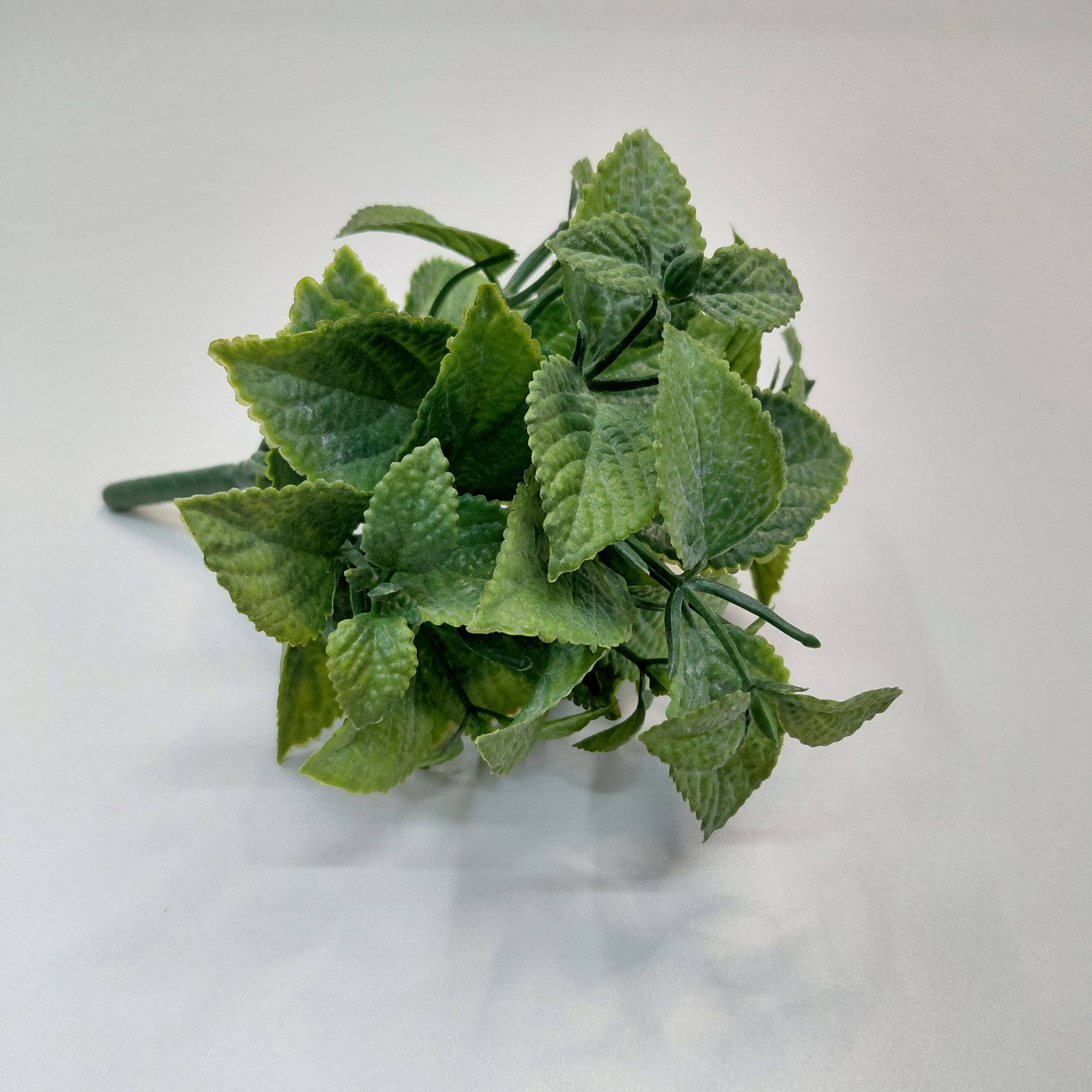 Hortelã Verde Vida