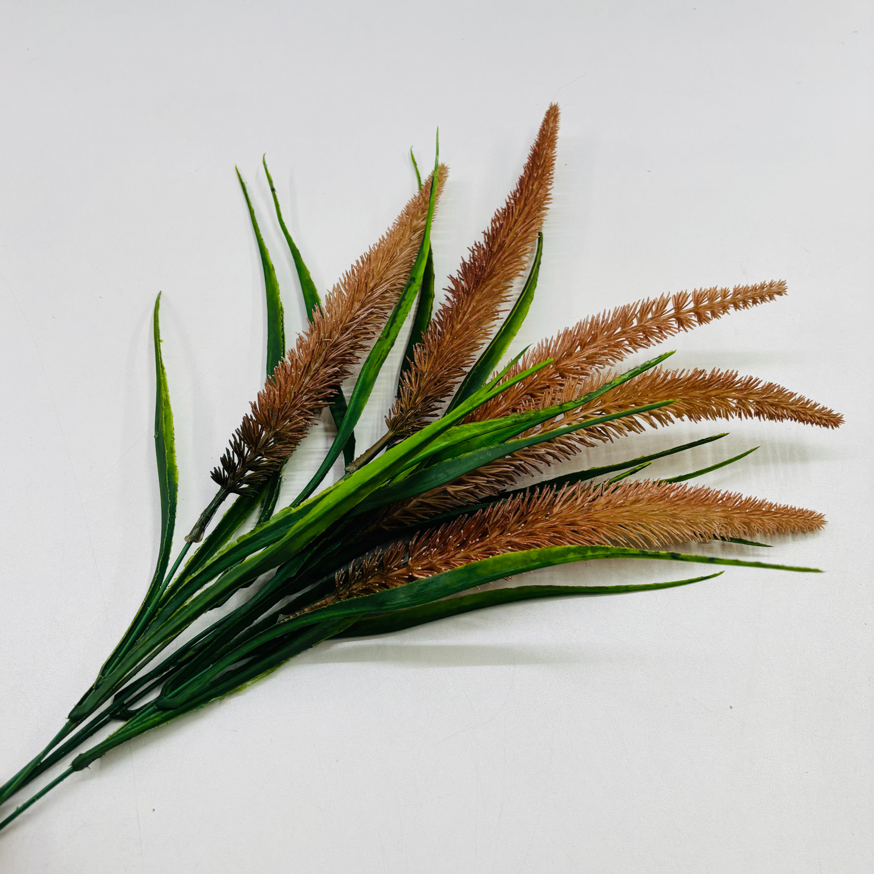 Haste Rabo-de-Raposa – Nude Natural