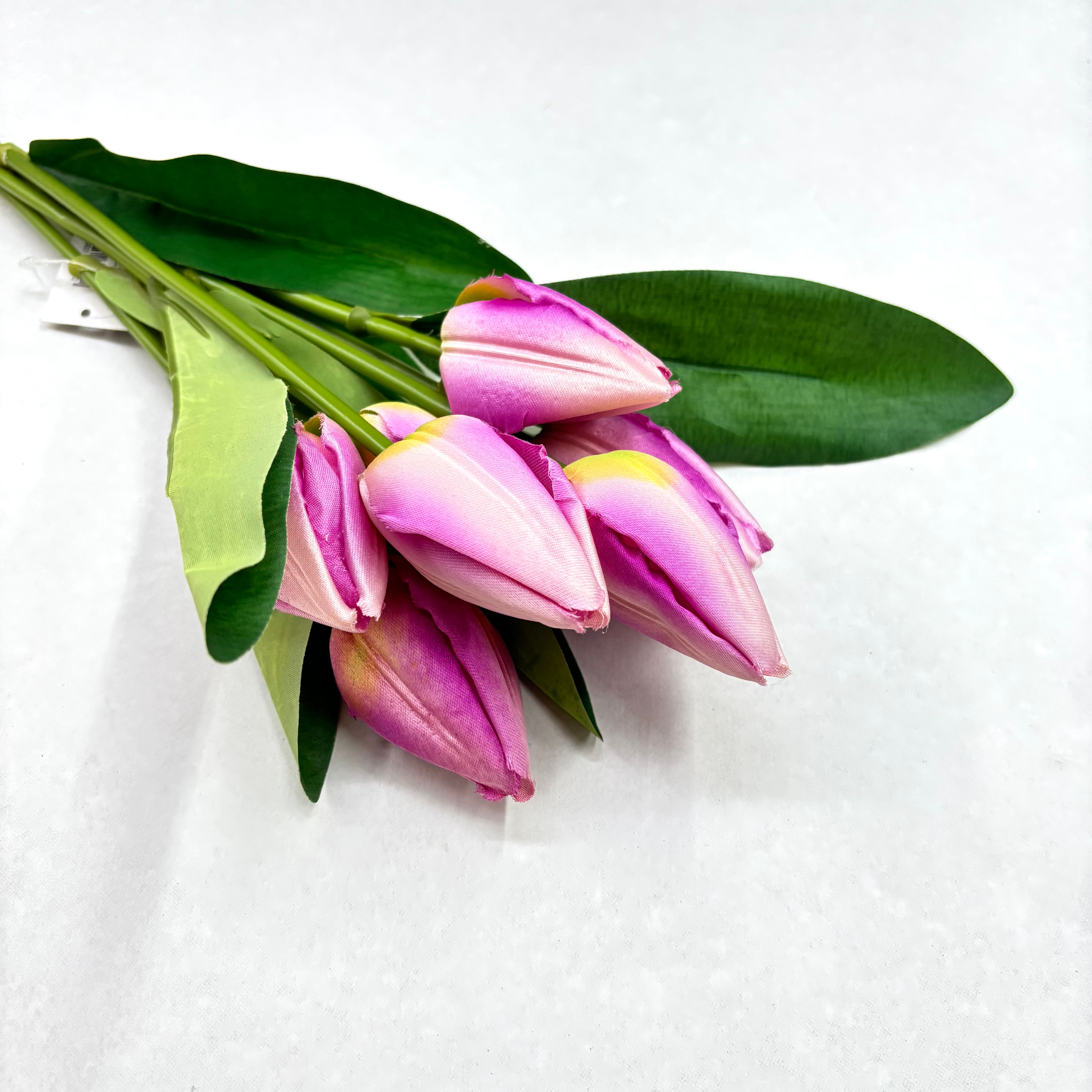 Tulipas Brisa de Primavera - Lilás Sereno