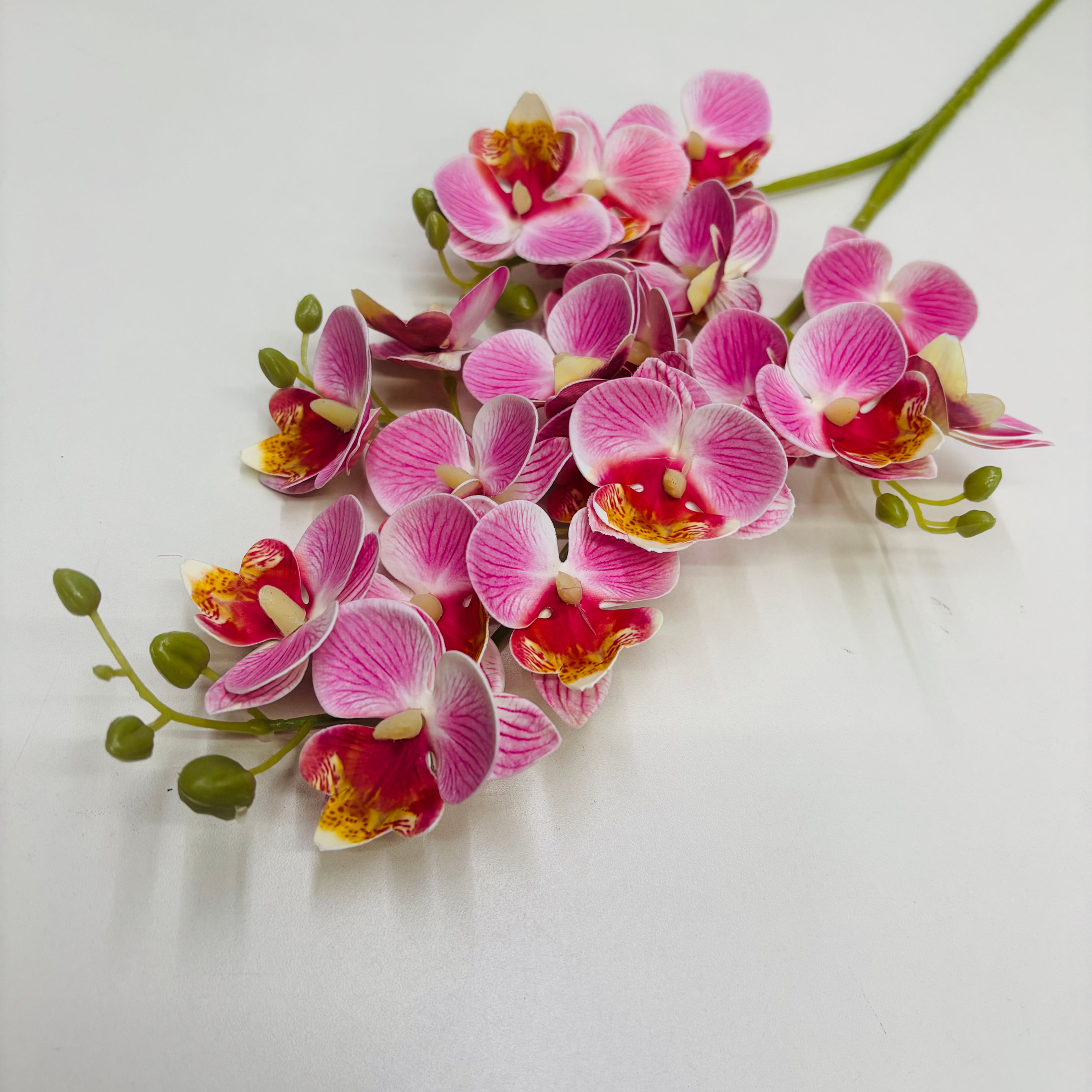 Haste Mini Orquídea Tropical
