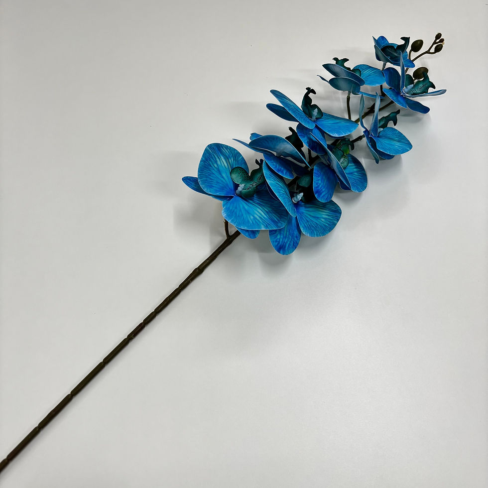 Miniatura: Orquídea Phalaenopsis Premium