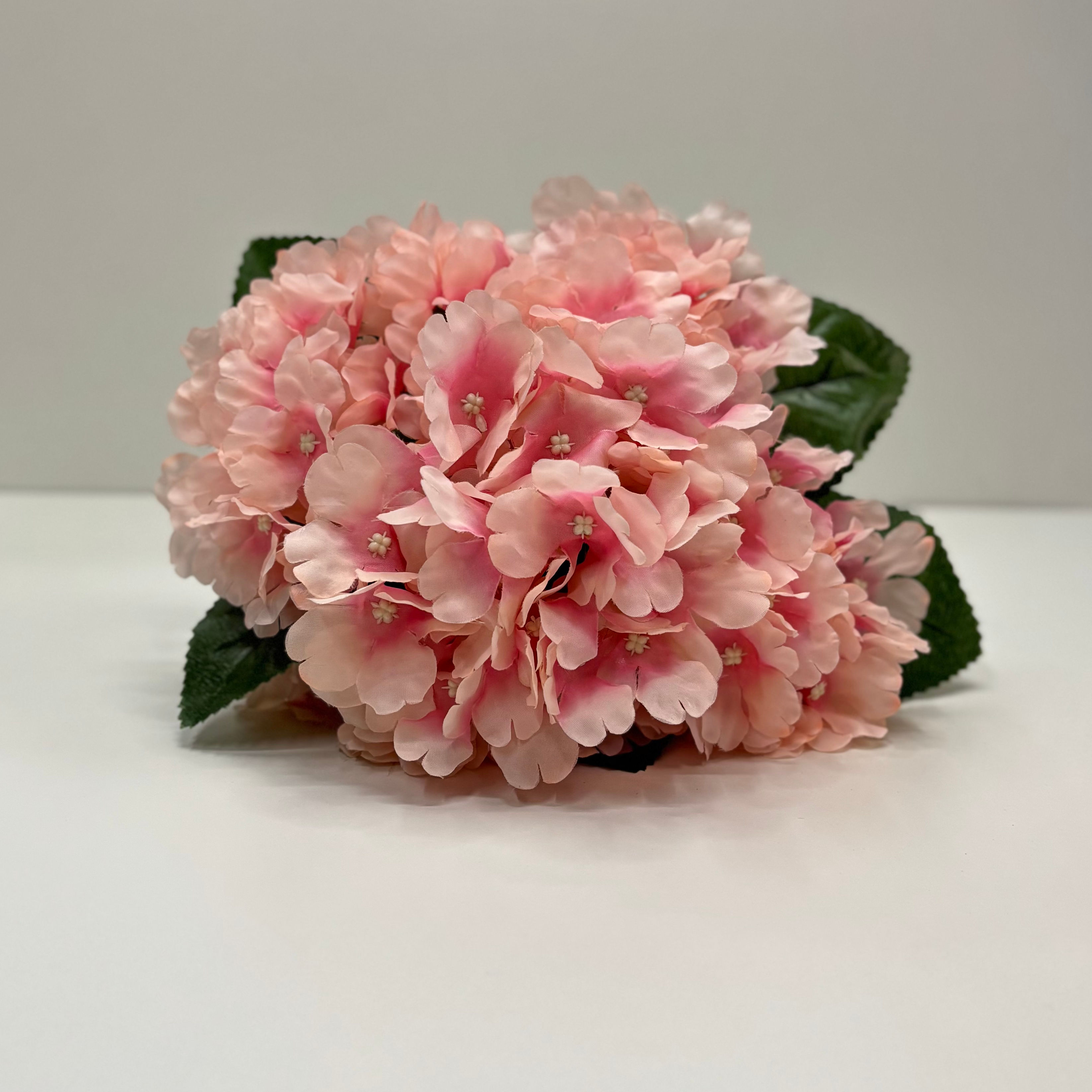 Buquê de Hortênsias Jardim Sereno