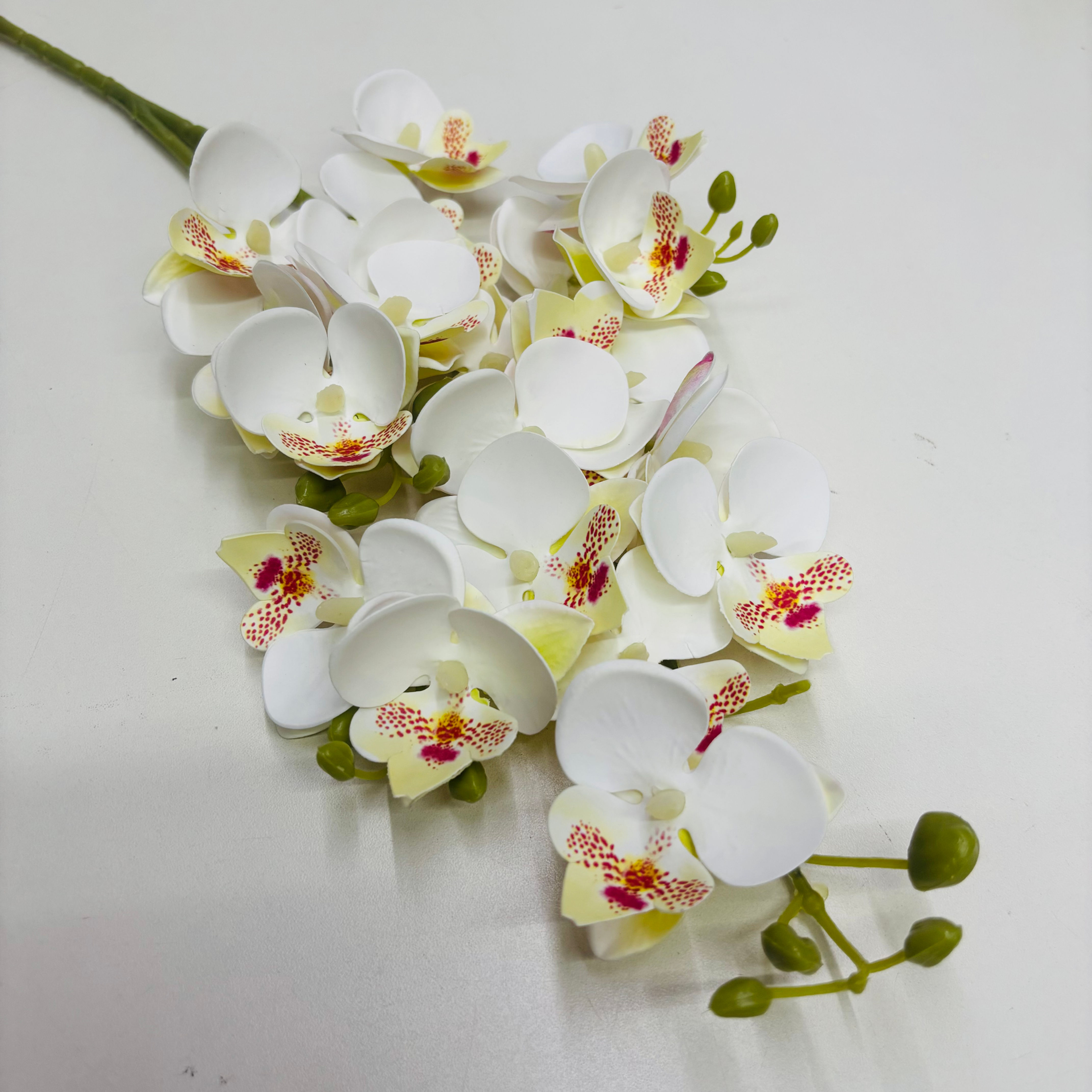Haste Mini Orquídea Tropical