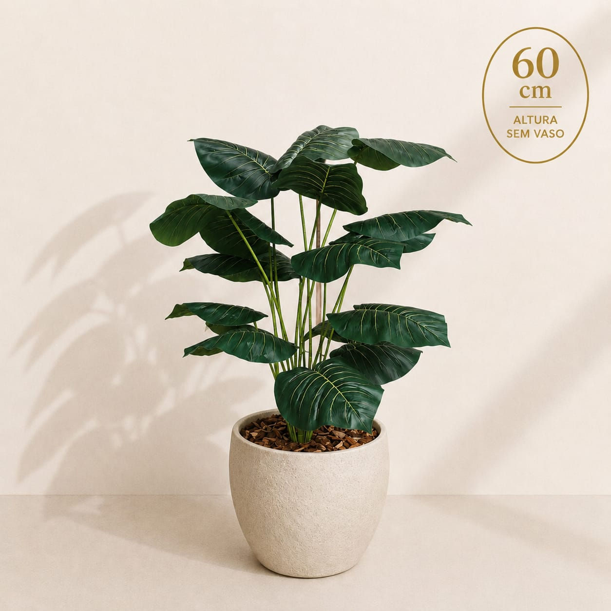 Filodendro Imperial Elegance
