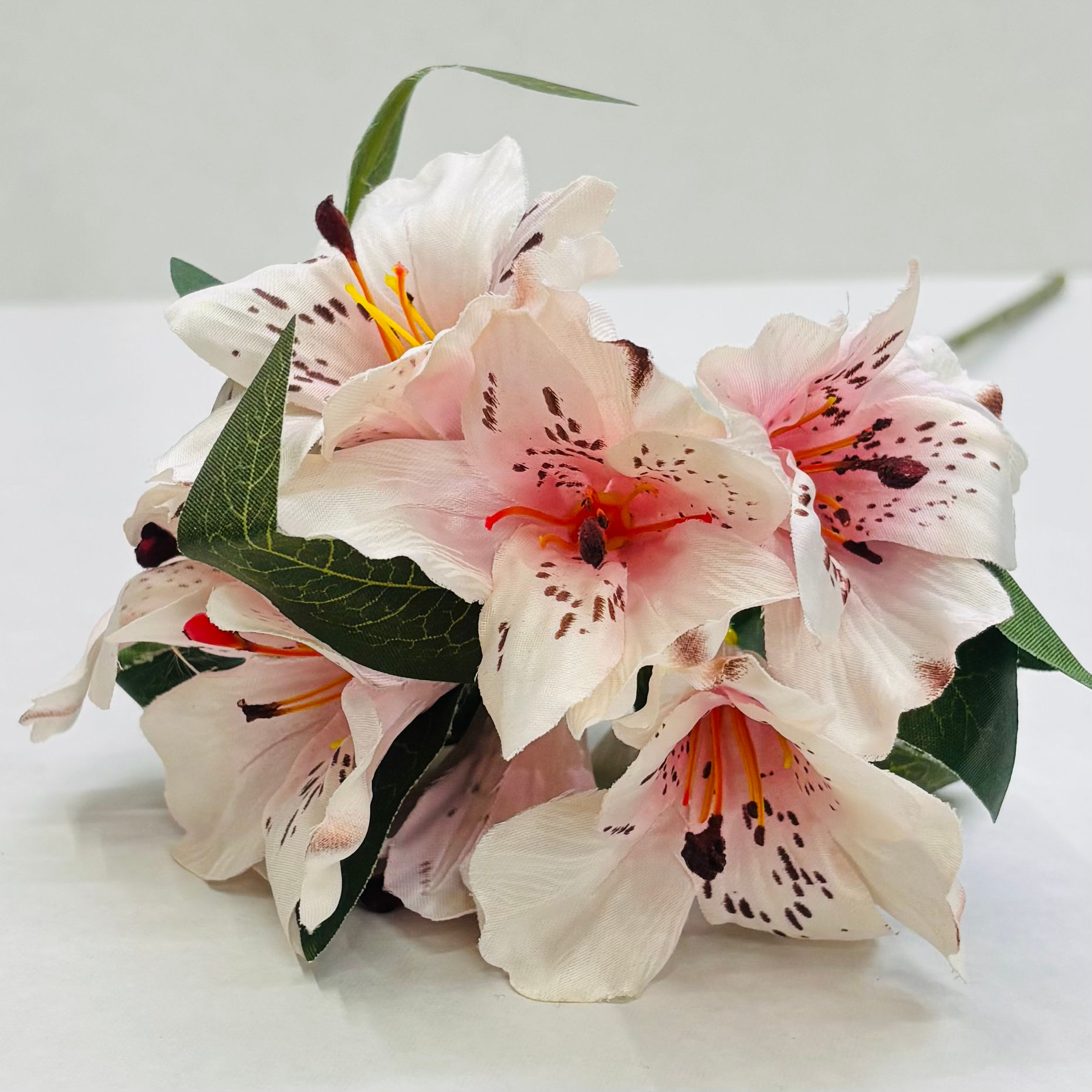 Haste Astromélia Campestre – Rosa Aurora