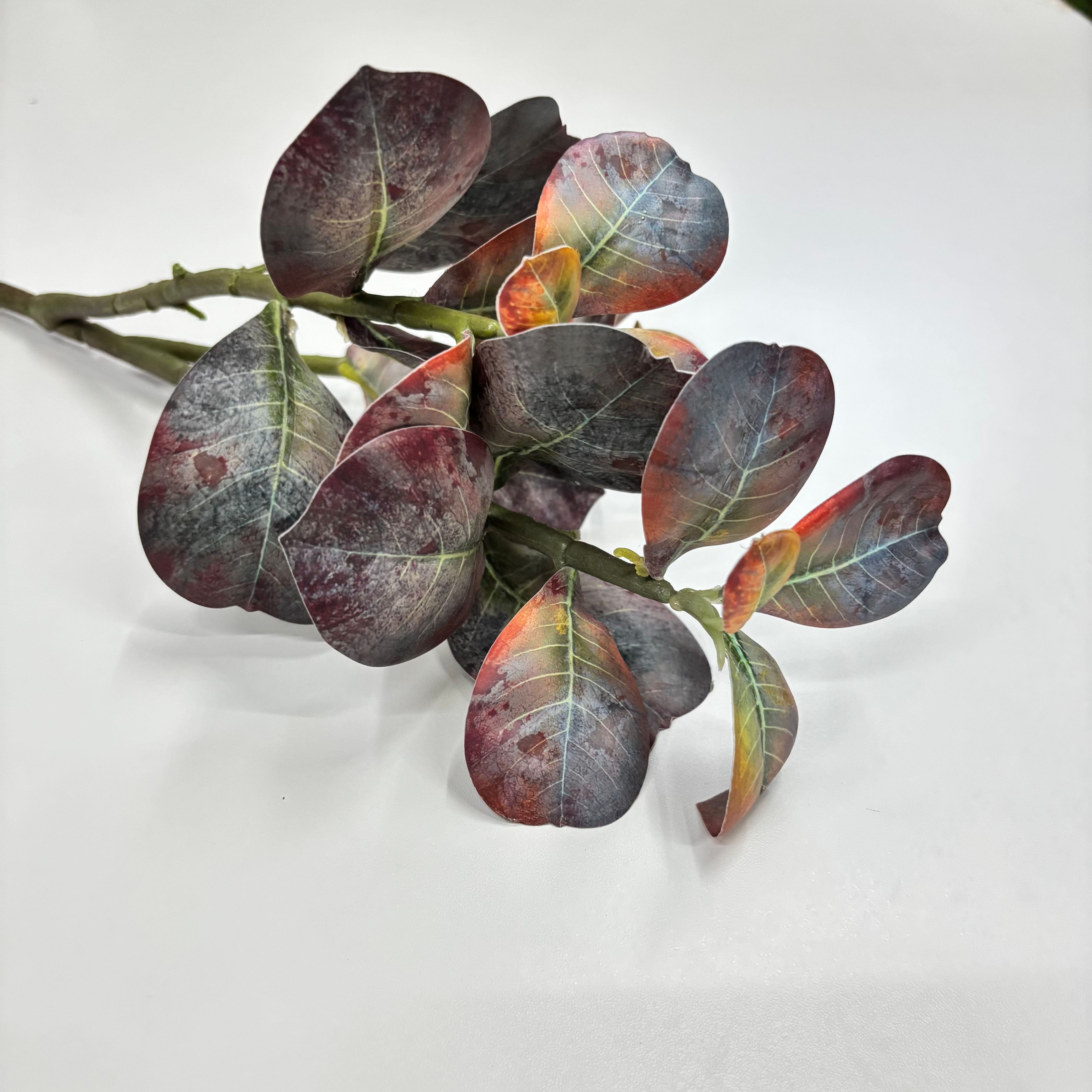 Haste de Ficus Outonal