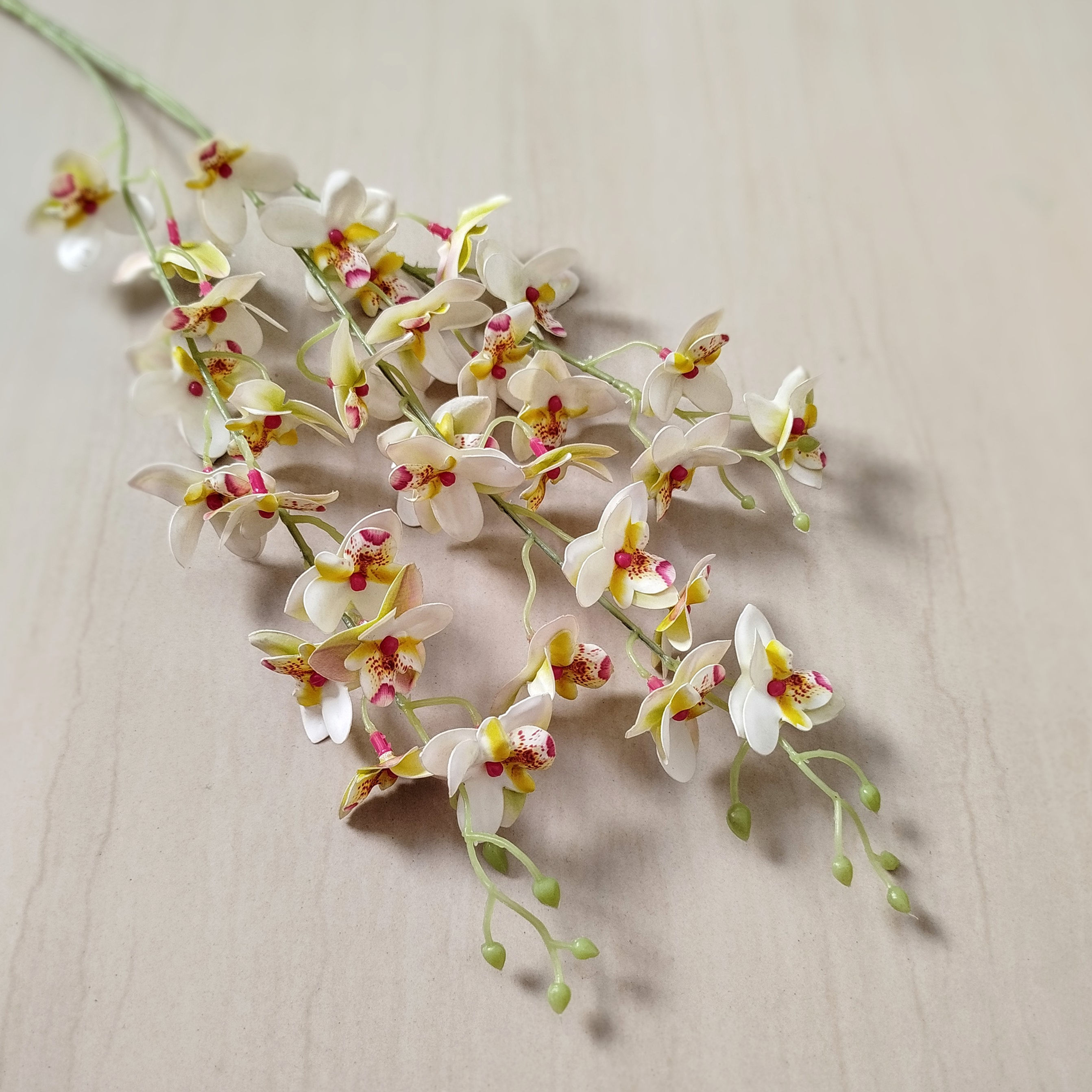 Galho de Mini Orquídeas