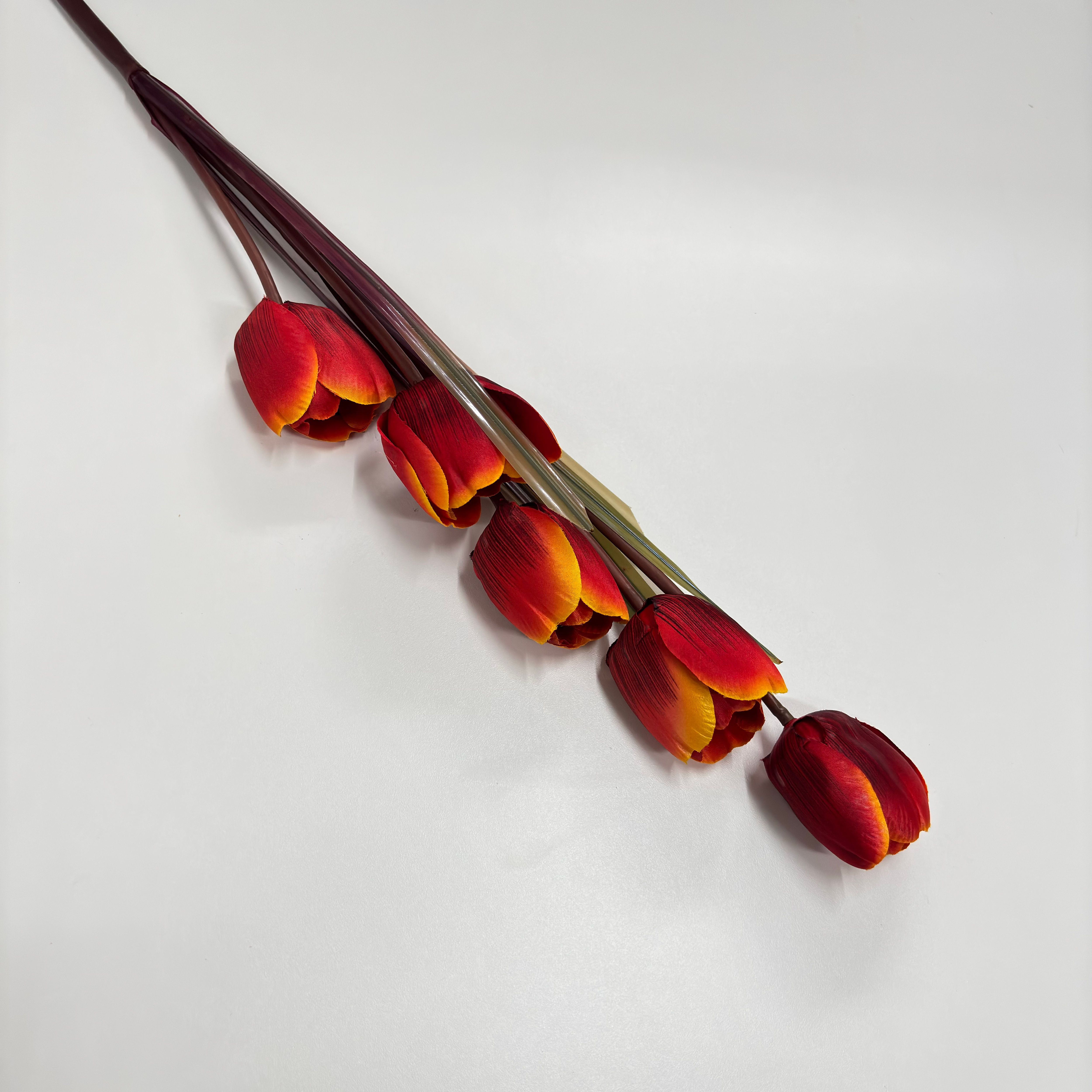 Haste de Tulipas Elegance