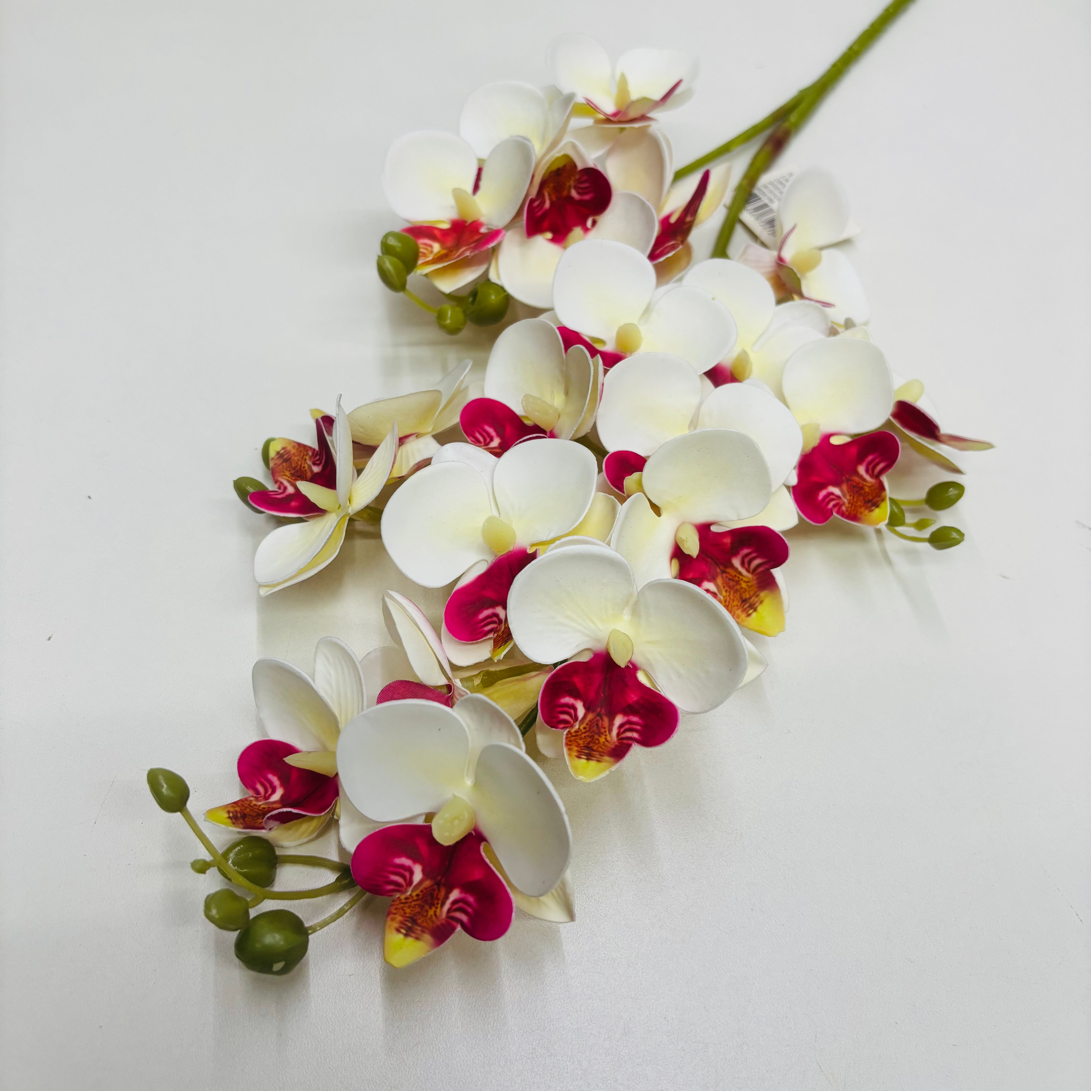 Haste Mini Orquídea Tropical