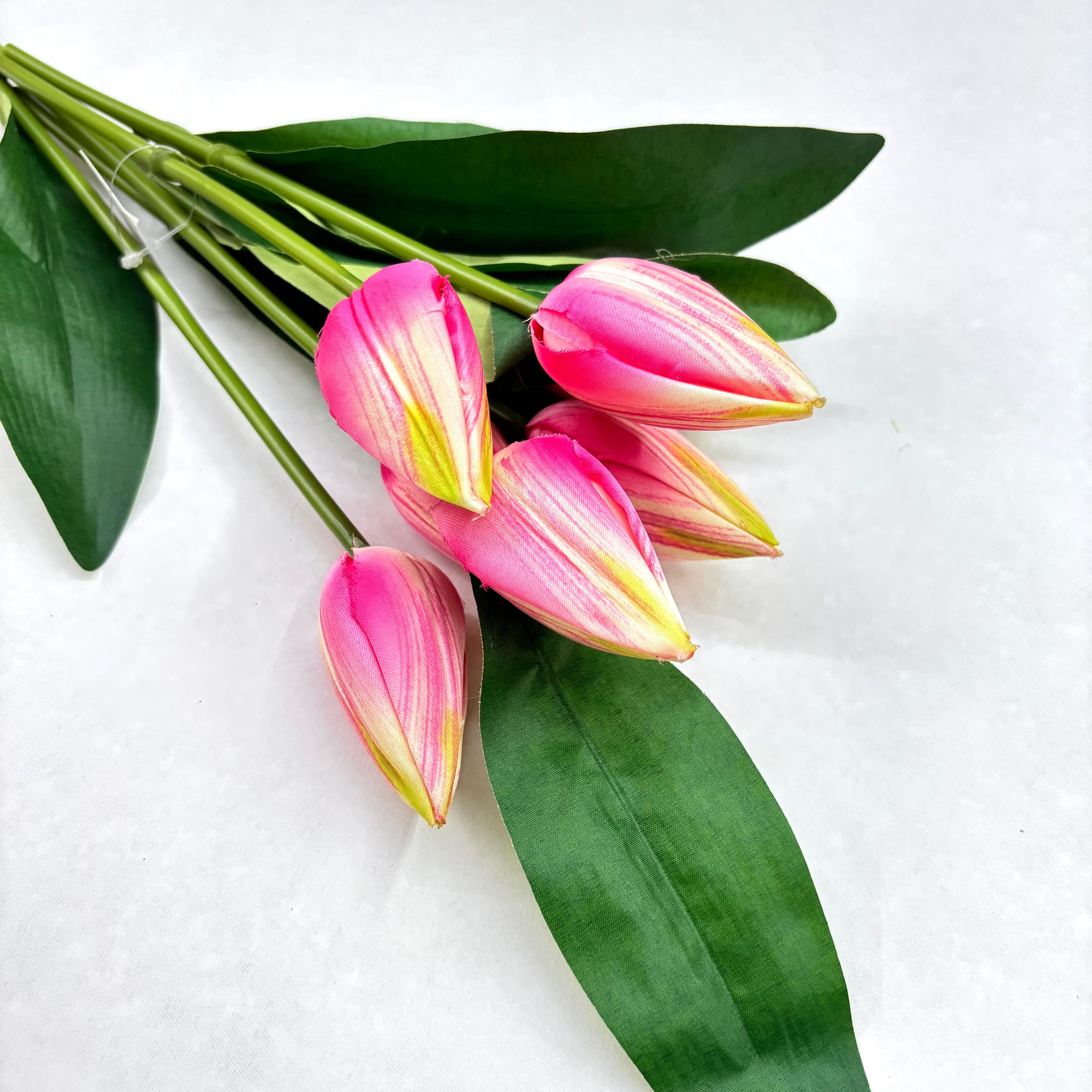 Tulipas Brisa de Primavera - Rosa Aurora