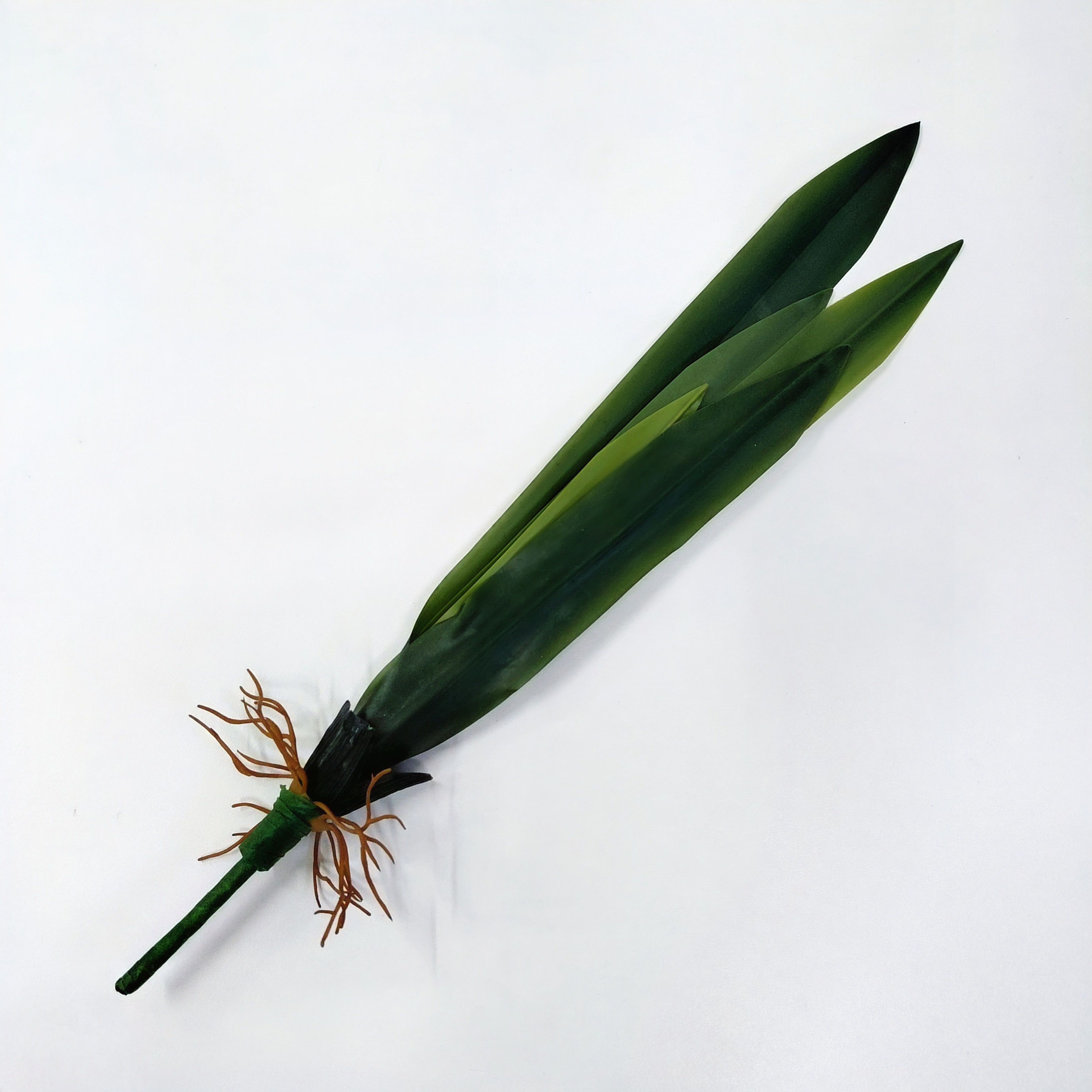 Folha de Orquídea Linear Sutileza