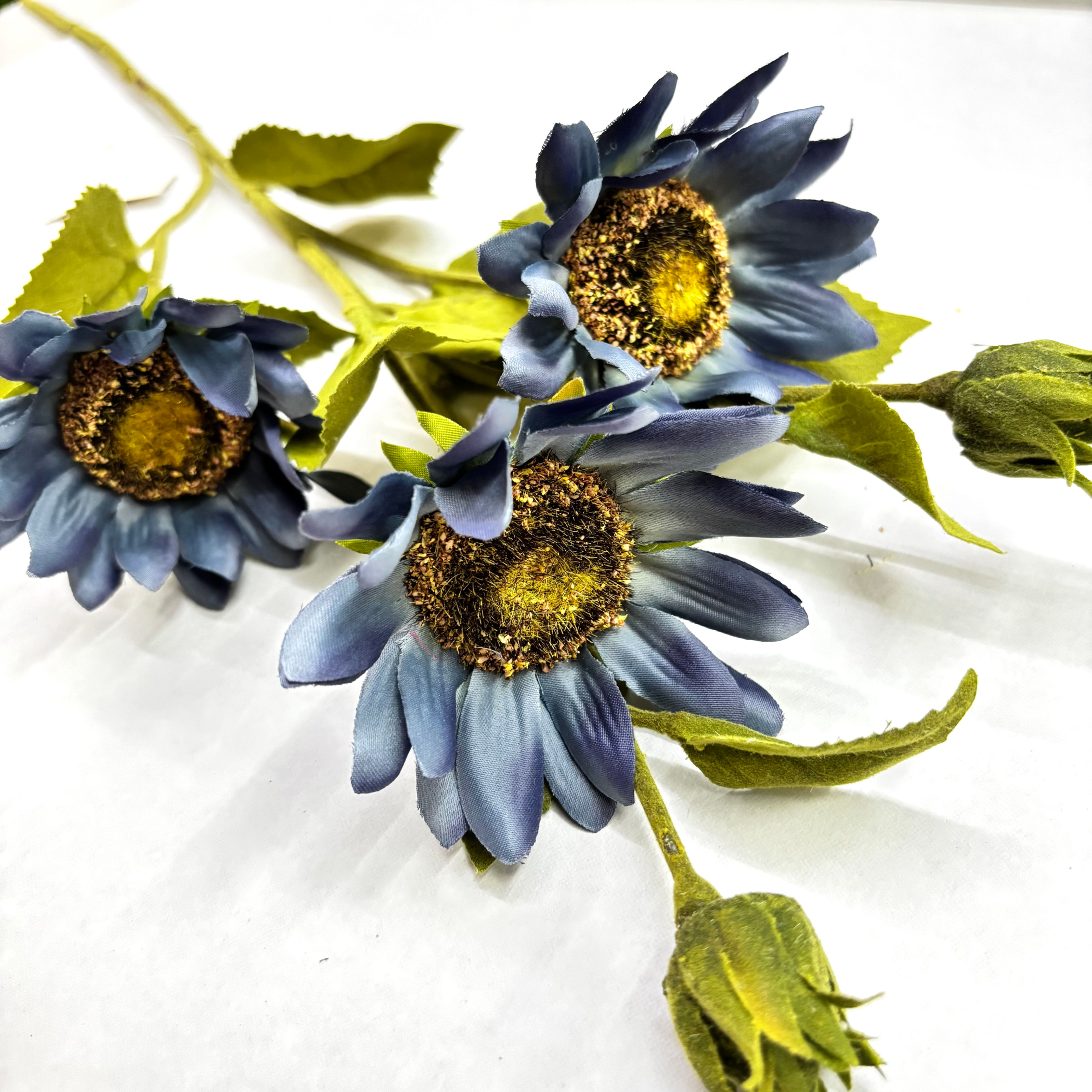 Haste Gerbera Essence – Azul Profundo
