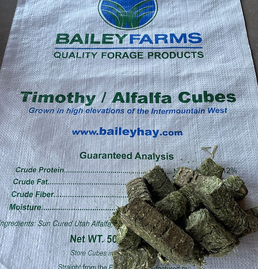 Tim-Alf Bag Pic 1.jpg