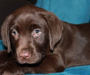 10818371_813581342032448_685588745898552