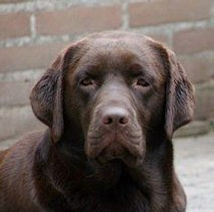 DSC06701 [1600x1200] [1600x1200].jpg