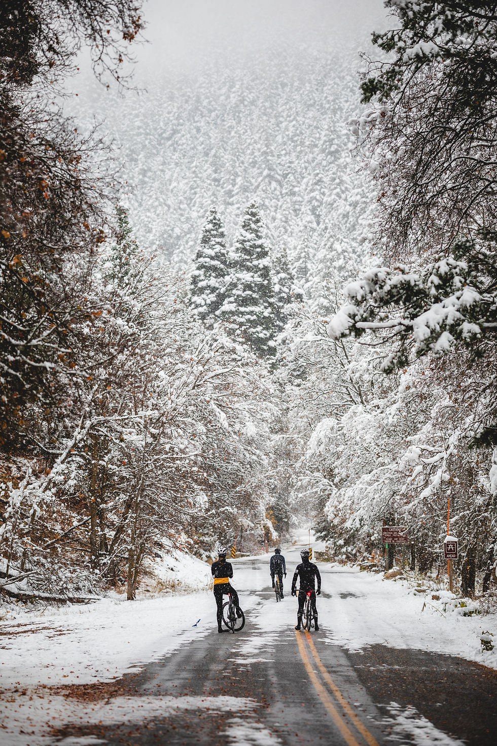 3 Bicyclists look up a snow covered mountain road