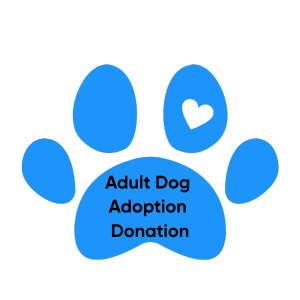 Puppy Adoption Donation (600 x 500 px) (300 x 300 px) (2).png